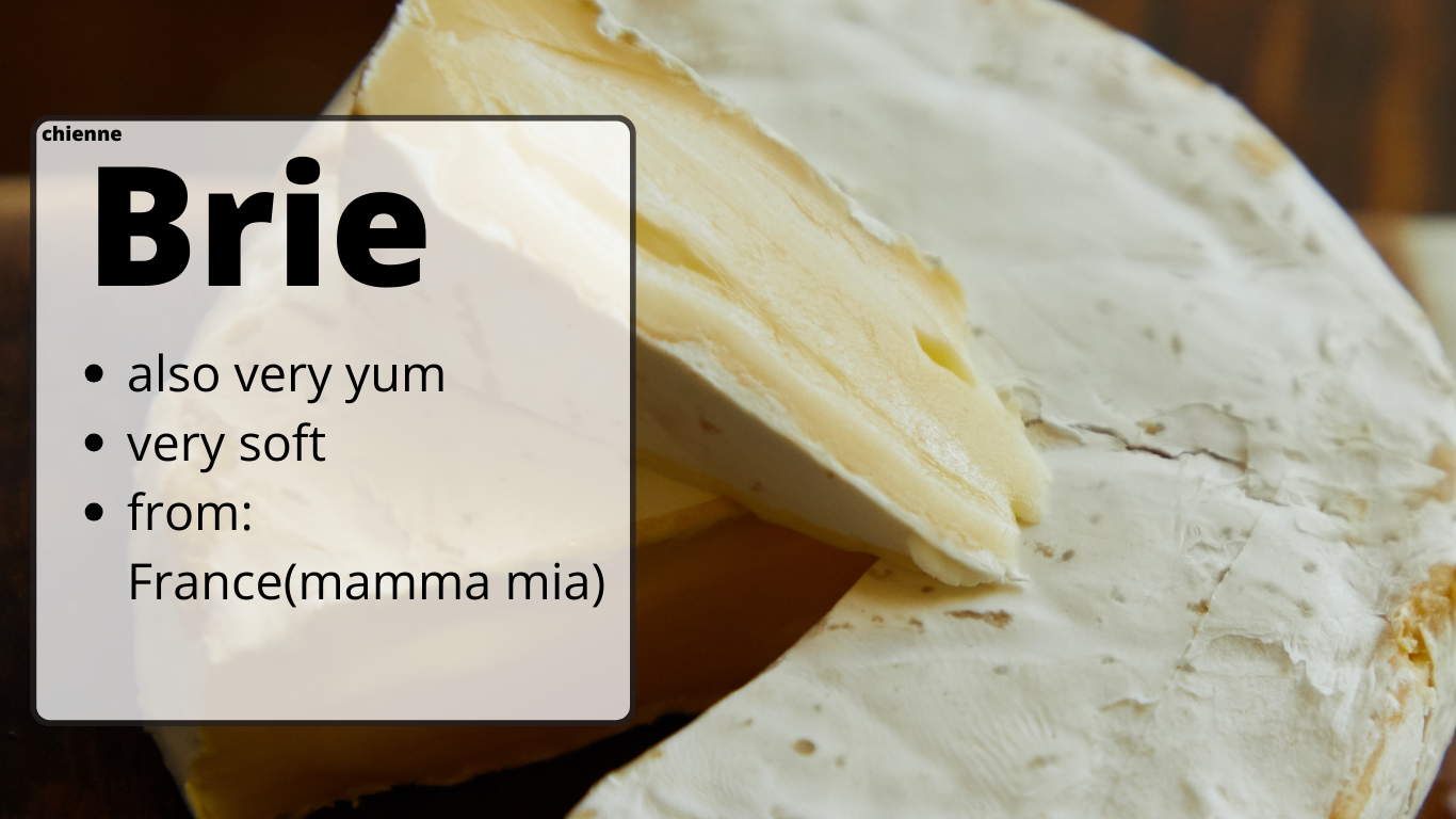  Brie
also very yum
very soft
from: France(mamma mia)
